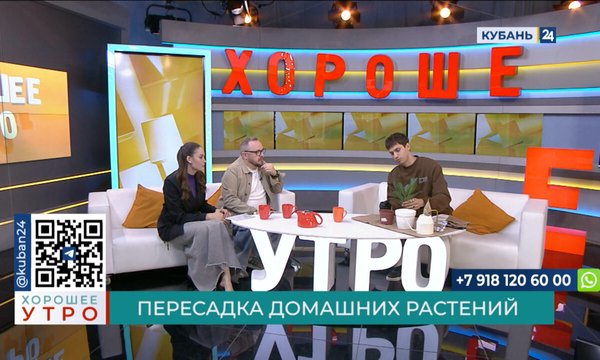 Андрей Скидан: после покупки растения обязательно нужно пересаживать