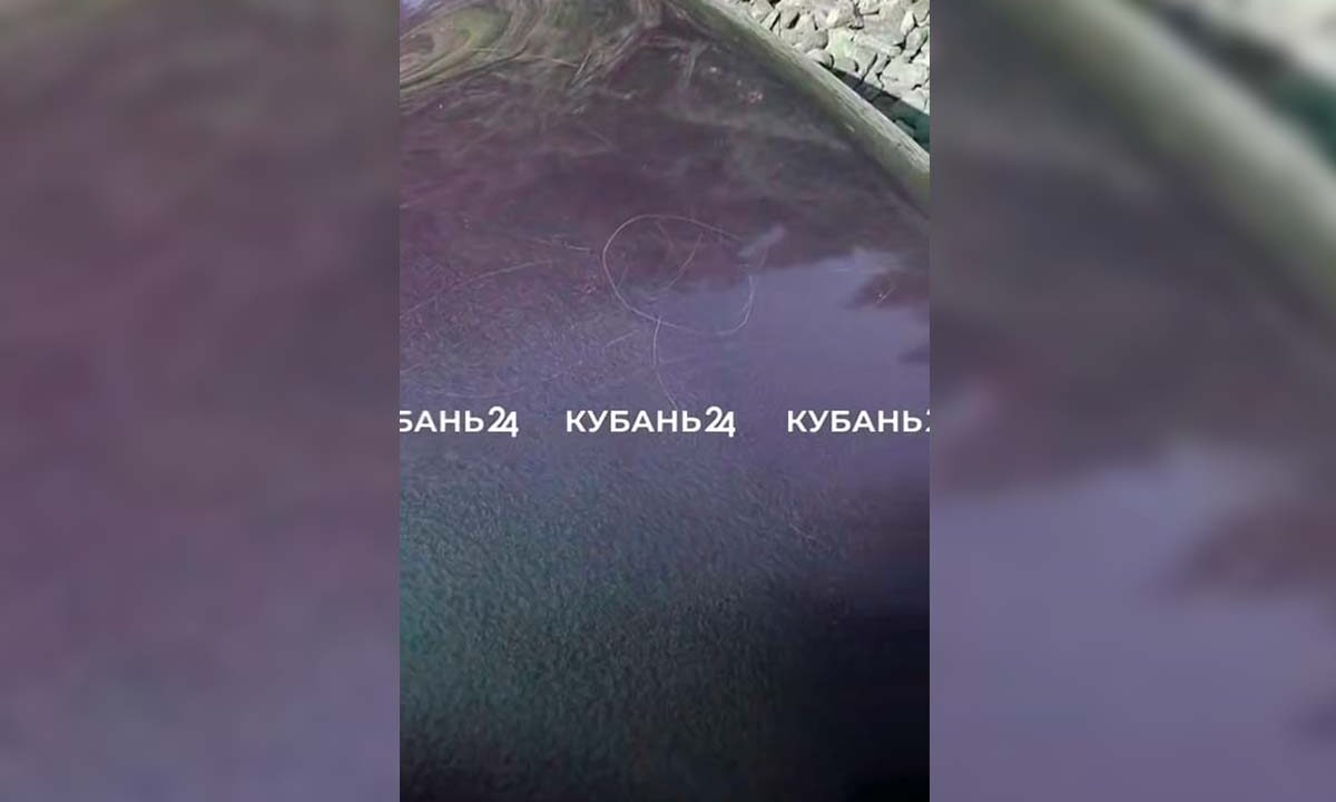 Посетители исцарапали новые футуристические скамейки в парке «Краснодар»