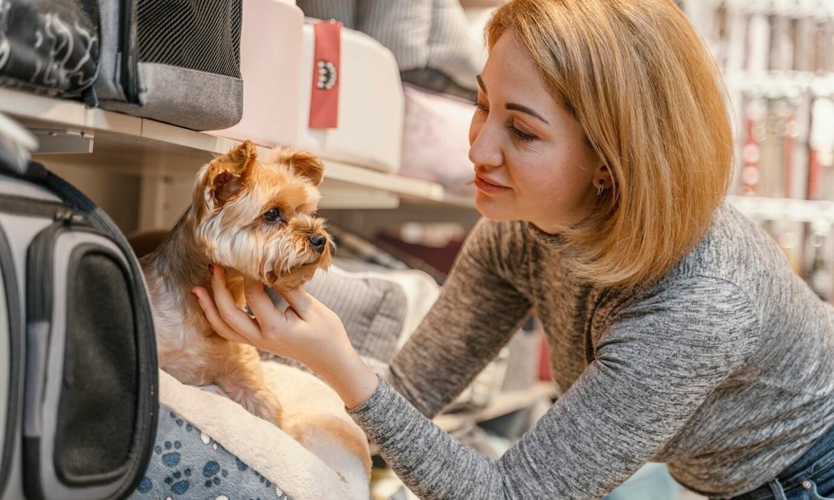 Матвиенко раскритиковала высокие цены на госпитализацию собак