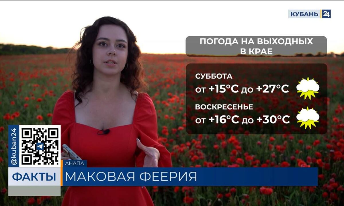 Ветер и жара до +30 °С ожидаются в выходные на Кубани