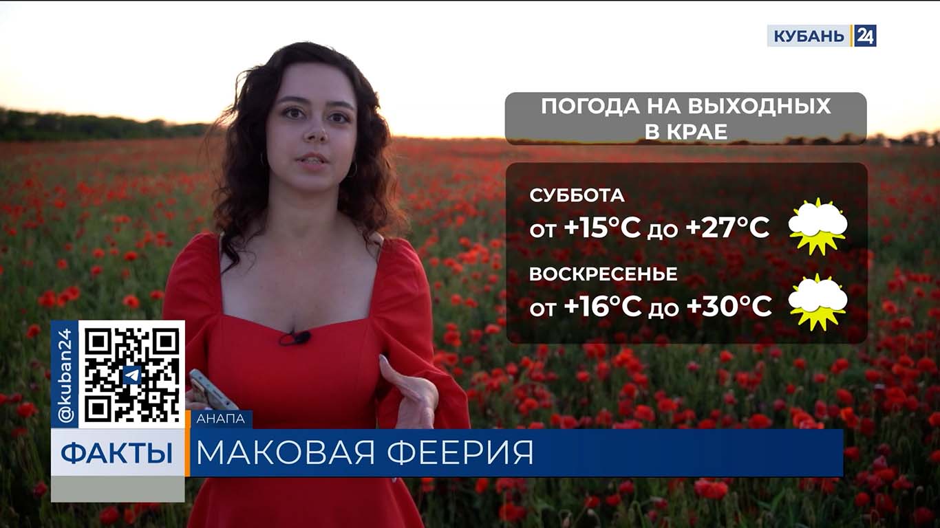 Ветер и жара до +30 °С ожидаются в выходные на Кубани