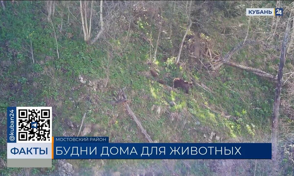 Зоологи провели майский учет краснокнижных животных в Псебайском заказнике