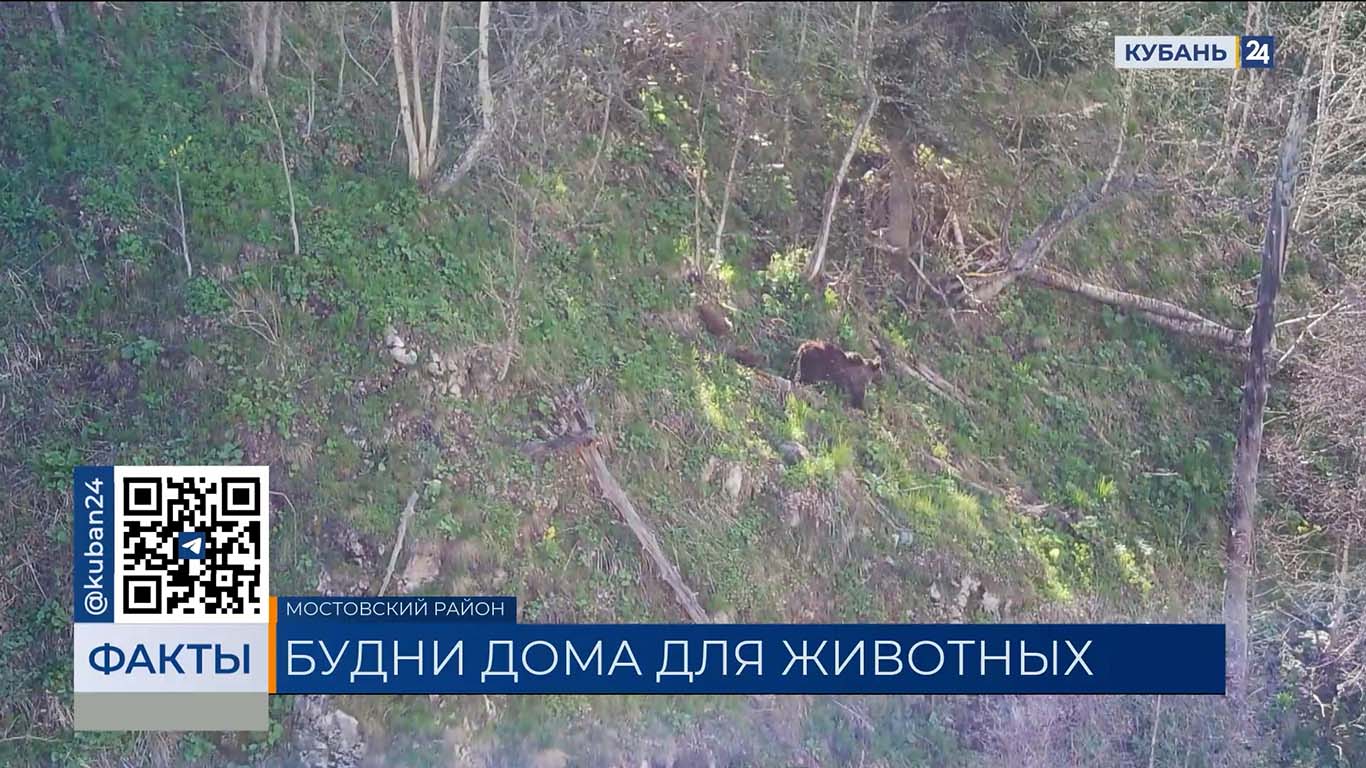 Зоологи провели майский учет краснокнижных животных в Псебайском заказнике