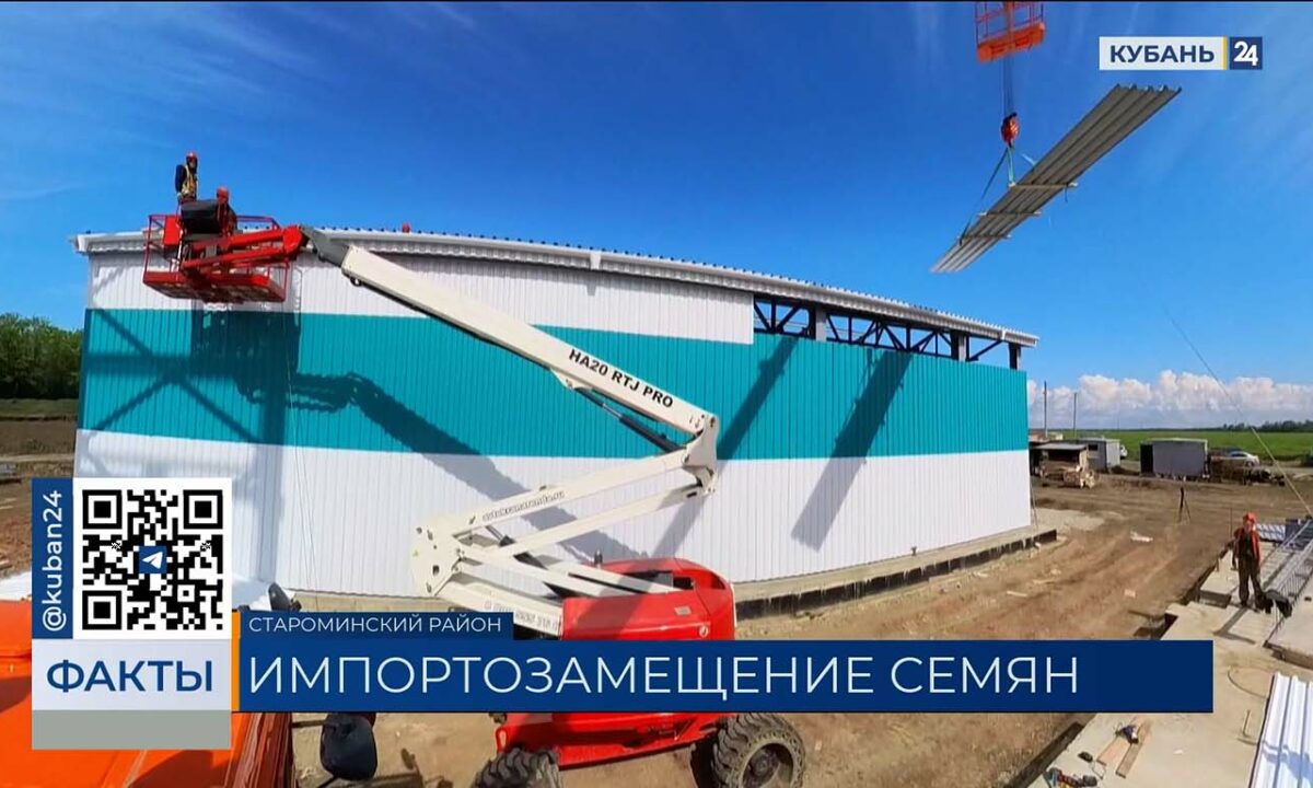 В строительство завода семян подсолнечника инвестируют 6 млрд рублей на Кубани