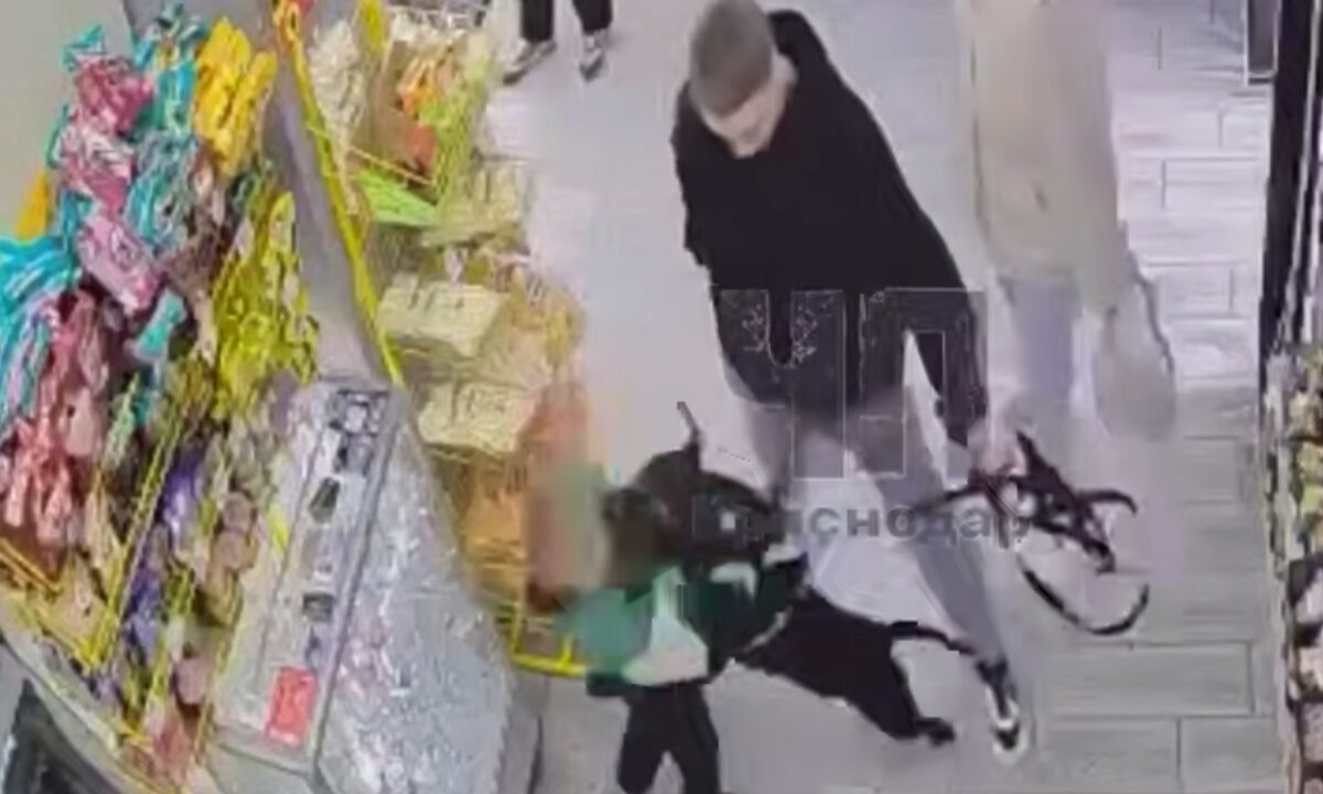 В Краснодаре 7-летний мальчик пострадал от укуса собаки в лицо в магазине