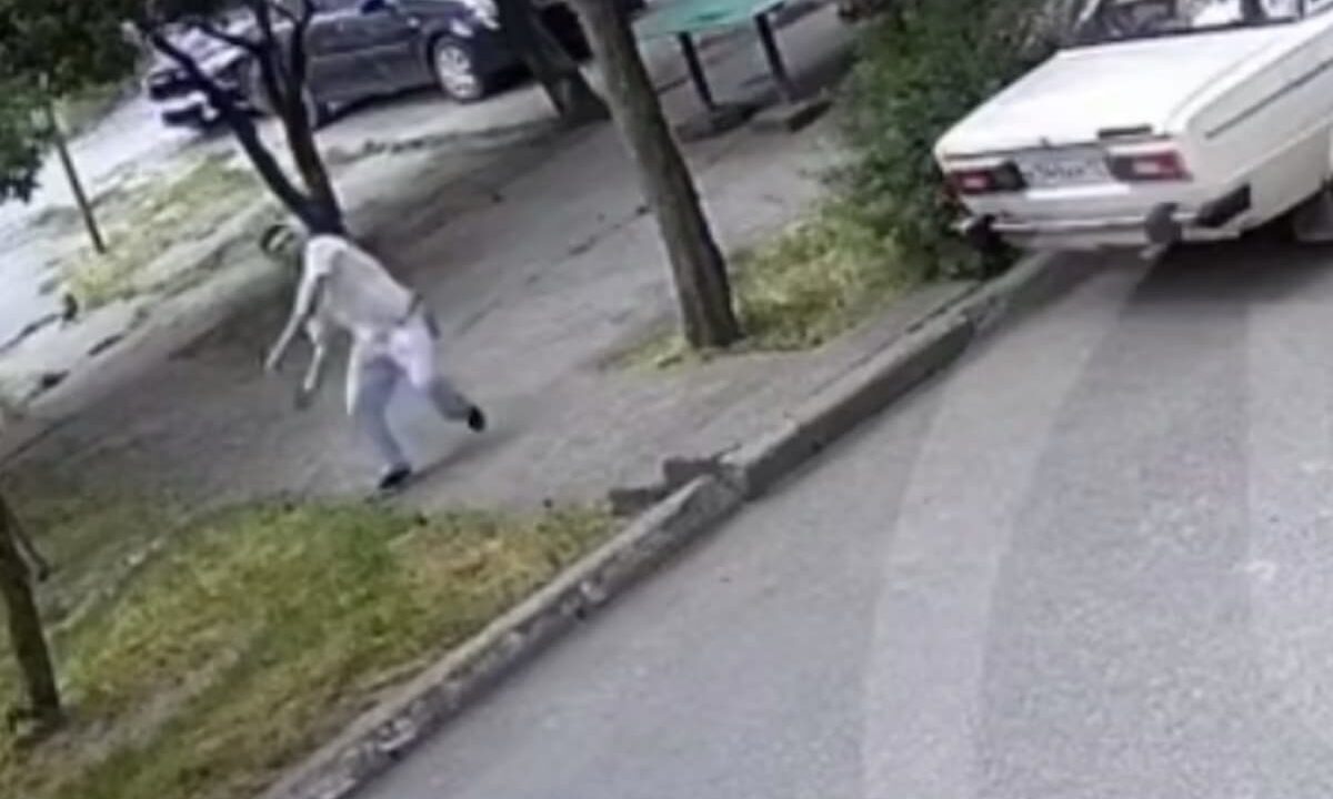 В Сочи разыскивают агрессивного мужчину, кидавшего камни в окна пятиэтажки