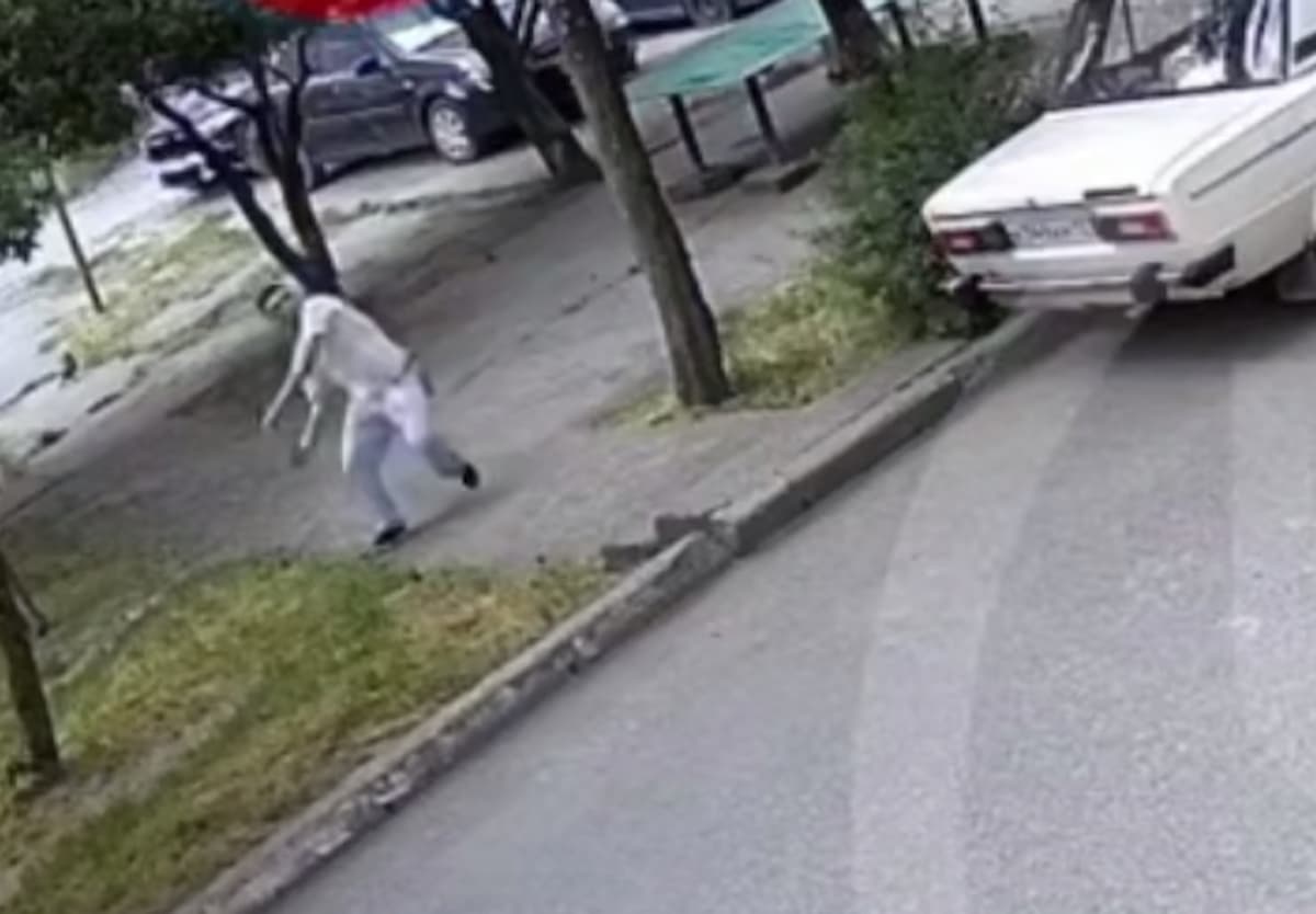 В Сочи разыскивают агрессивного мужчину, кидавшего камни в окна пятиэтажки