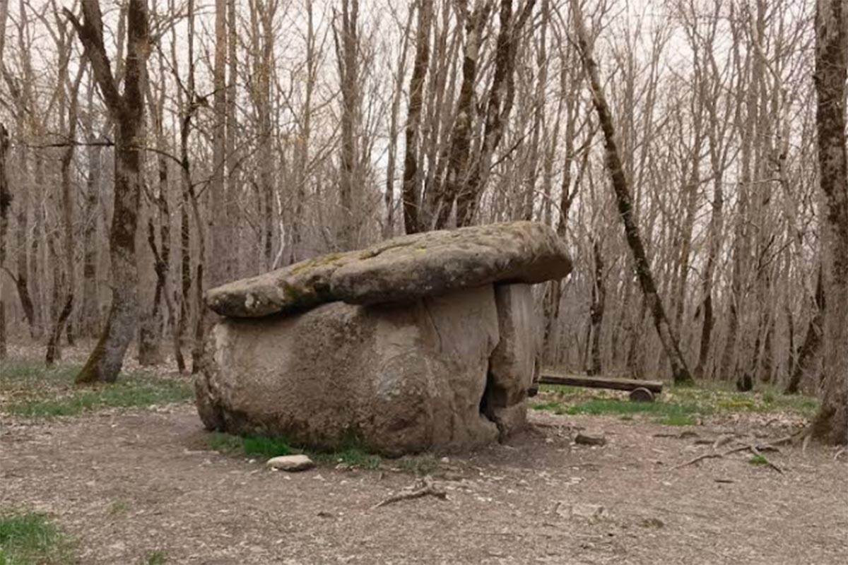 Без имени-1