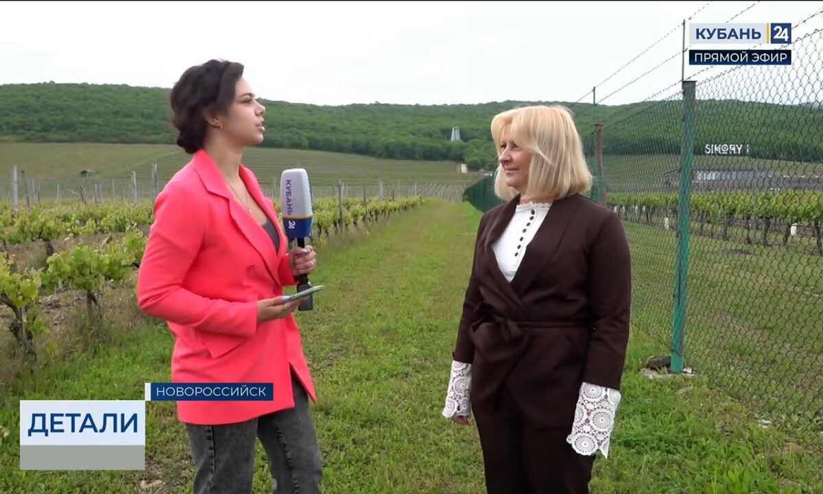 Карина Анищенко: готовим новый пакет на получение субсидий для наших аграриев