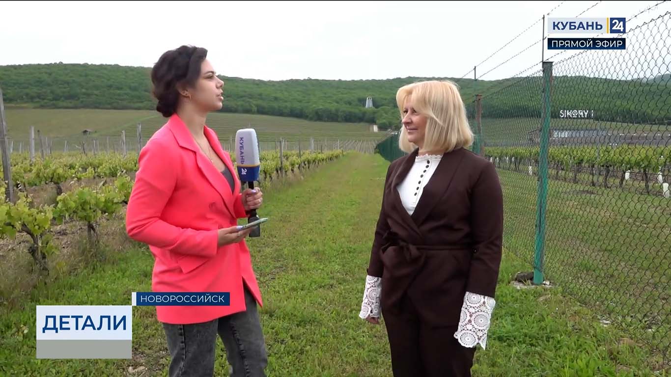 Карина Анищенко: готовим новый пакет на получение субсидий для наших аграриев