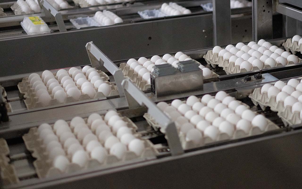 Цены на яйца в Краснодарском крае в апреле упали почти на 20%