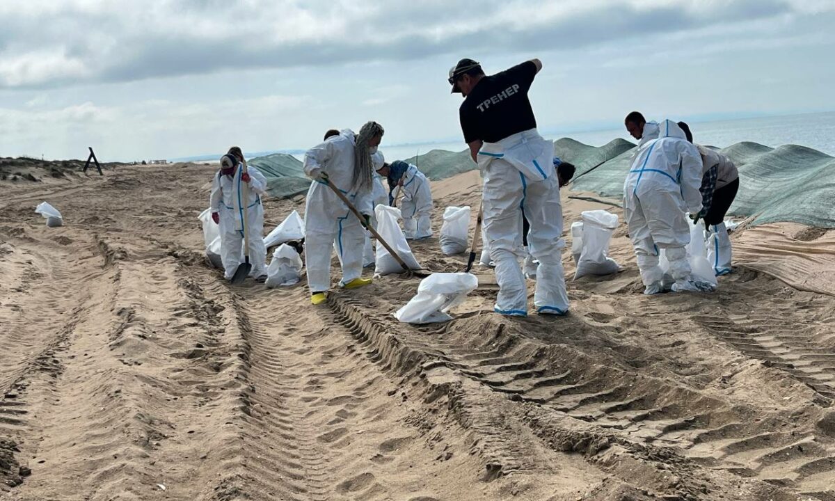 На побережье Анапы не обнаружили новых выбросов мазута 5 мая