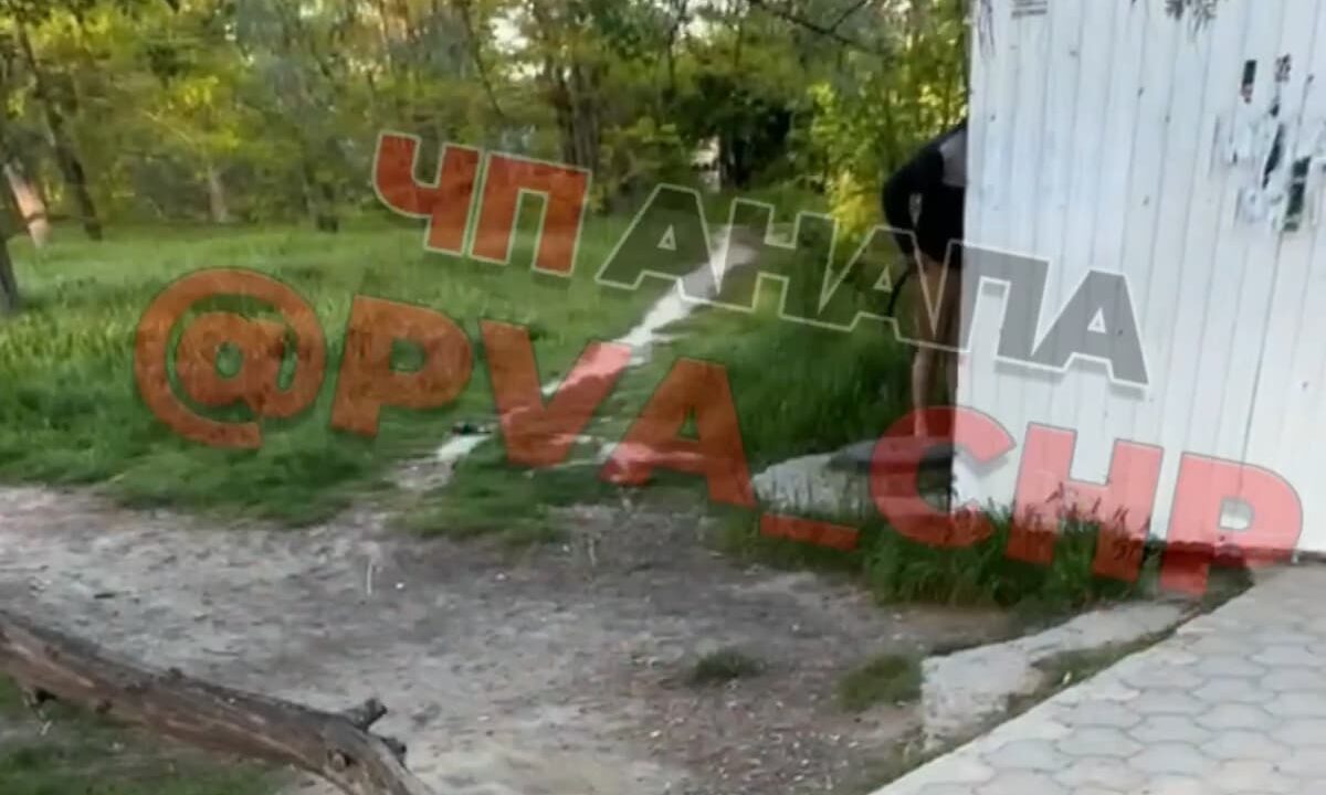 Полиция ищет мужчину, показывавшего половые органы в детском парке Анапы