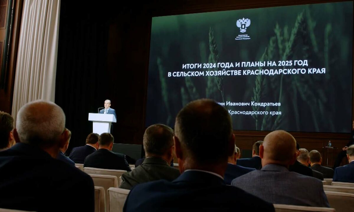 Кондратьев предложил защитить виноградопригодные земли на федеральном уровне