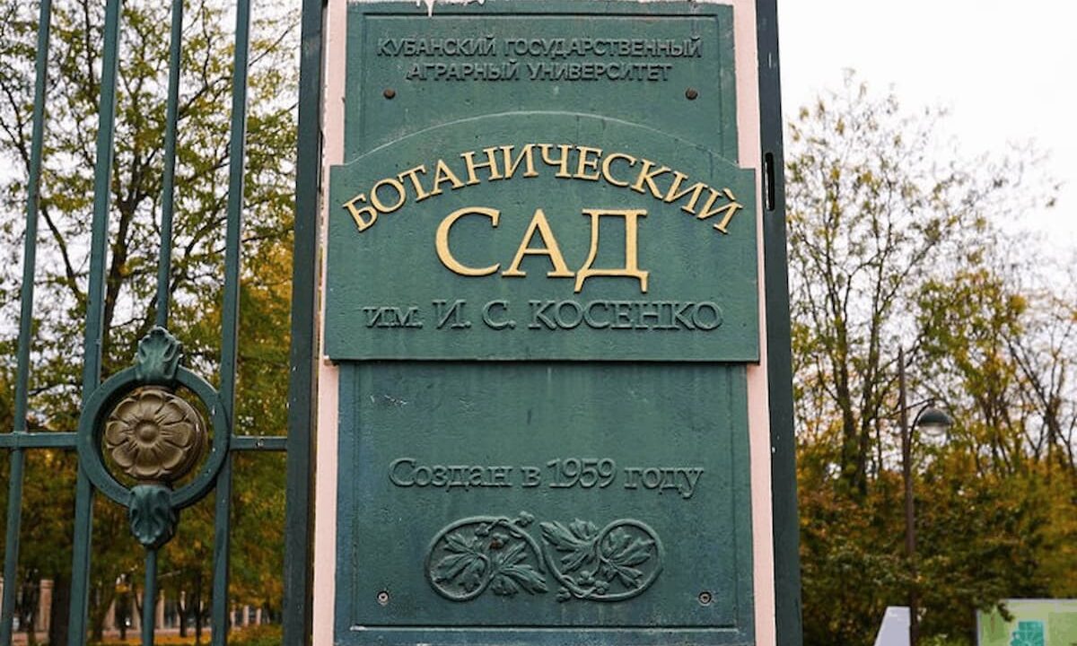 Ботанический сад в Краснодаре закрыли до 23 мая из-за непогоды