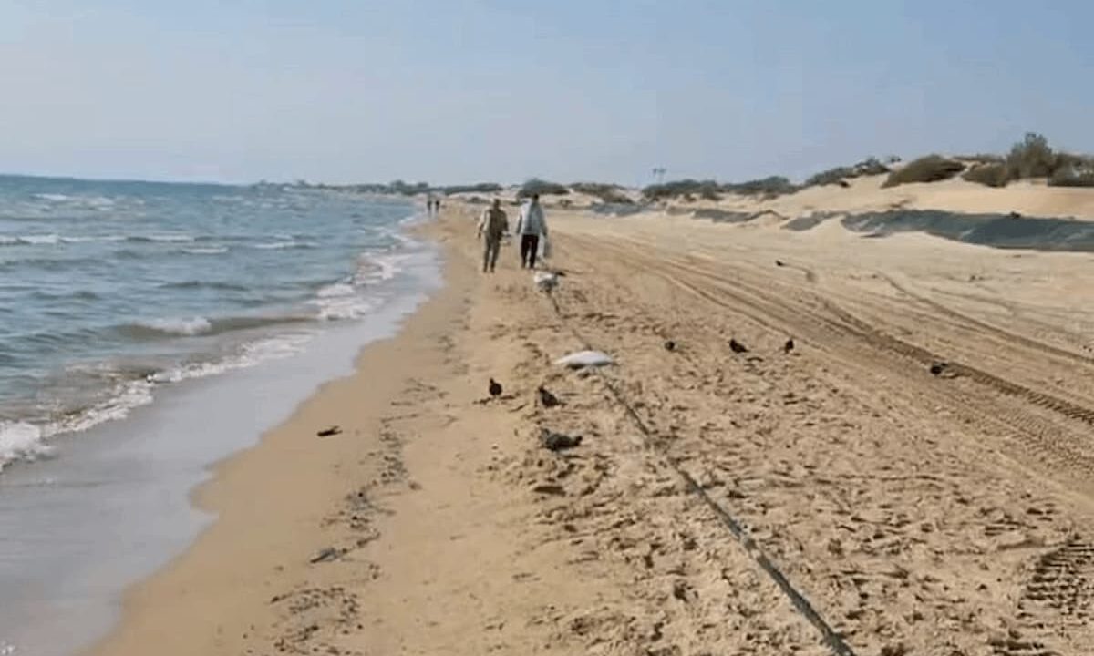 Обломки украинского беспилотника нашли жители Анапы на берегу моря