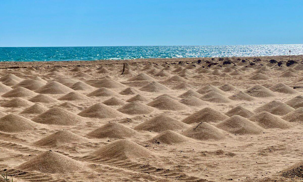 Природный парк «Анапская пересыпь» временно закрыли для туристов