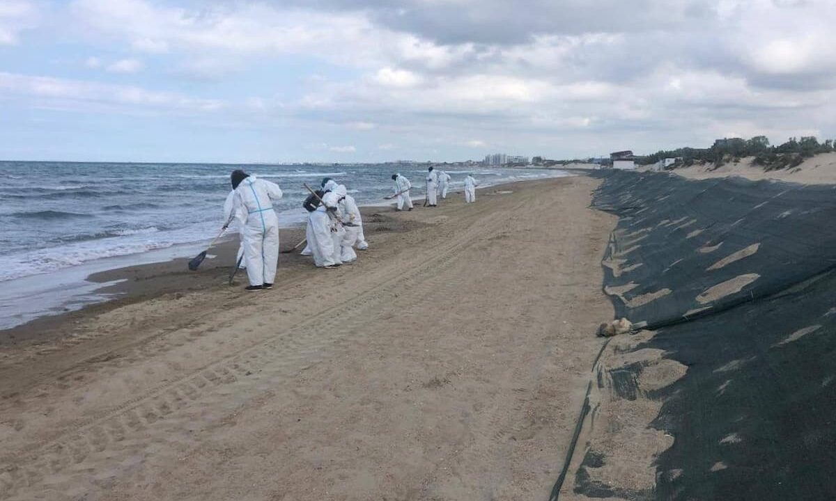 Новые выбросы мазута 13 мая обнаружили на одном участке побережья Анапы