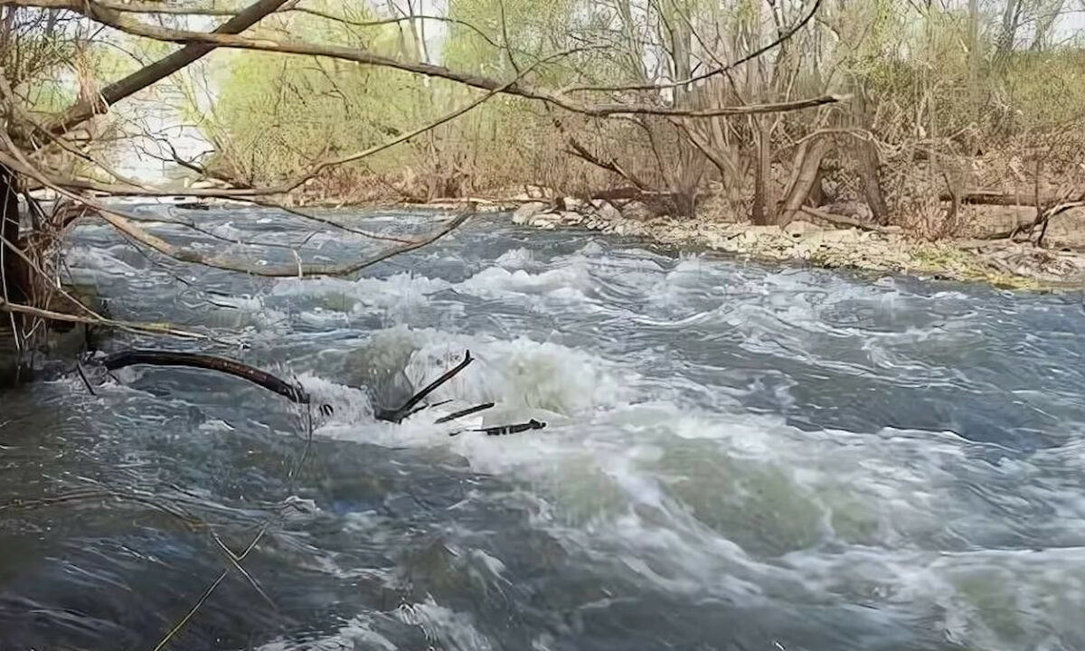 МЧС: уровень воды в реке Лаба на Кубани может достигнуть неблагоприятной отметки