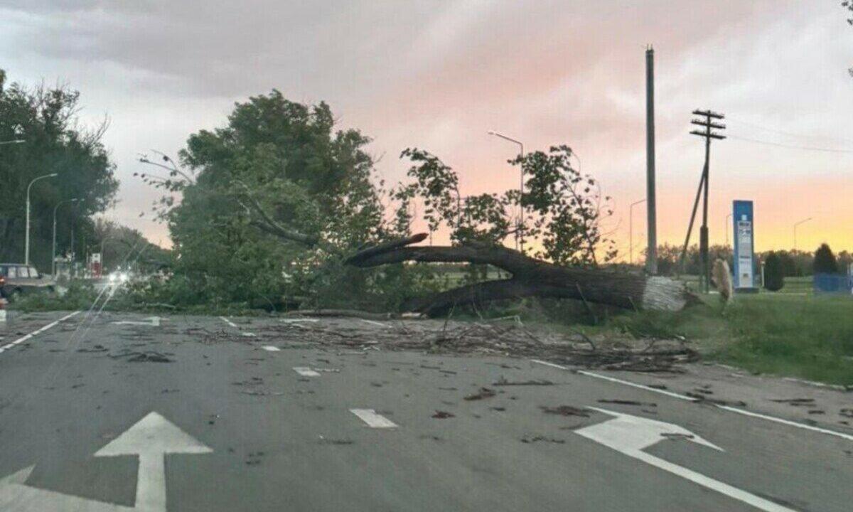 Ураганный ветер вызвал аварийные отключения света в районах Кубани