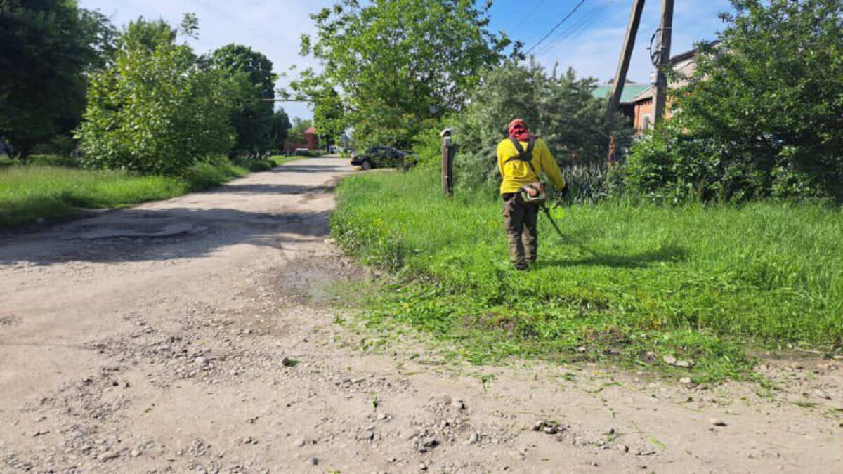 Больше 3 тыс. гектаров сорняков скосили в Краснодаре