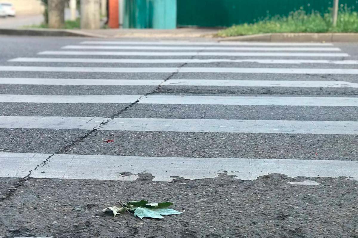 Кондратьев поручил в первую очередь выделять средства на ремонт дорог в районах
