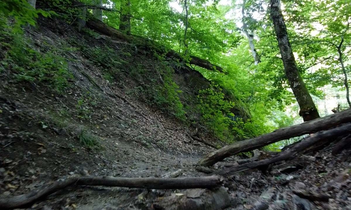 Заповедные места Кубани: что изменилось за 10 лет