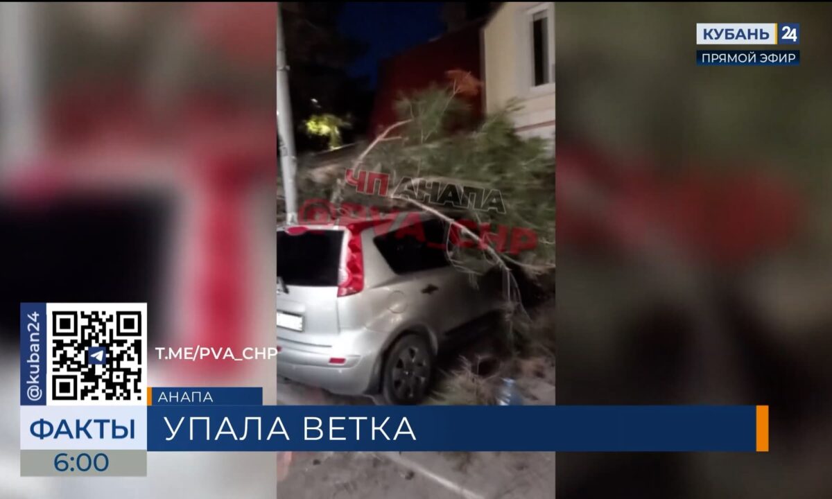 Упавшая ветка повредила автомобили и оставила улицу без света в Анапе