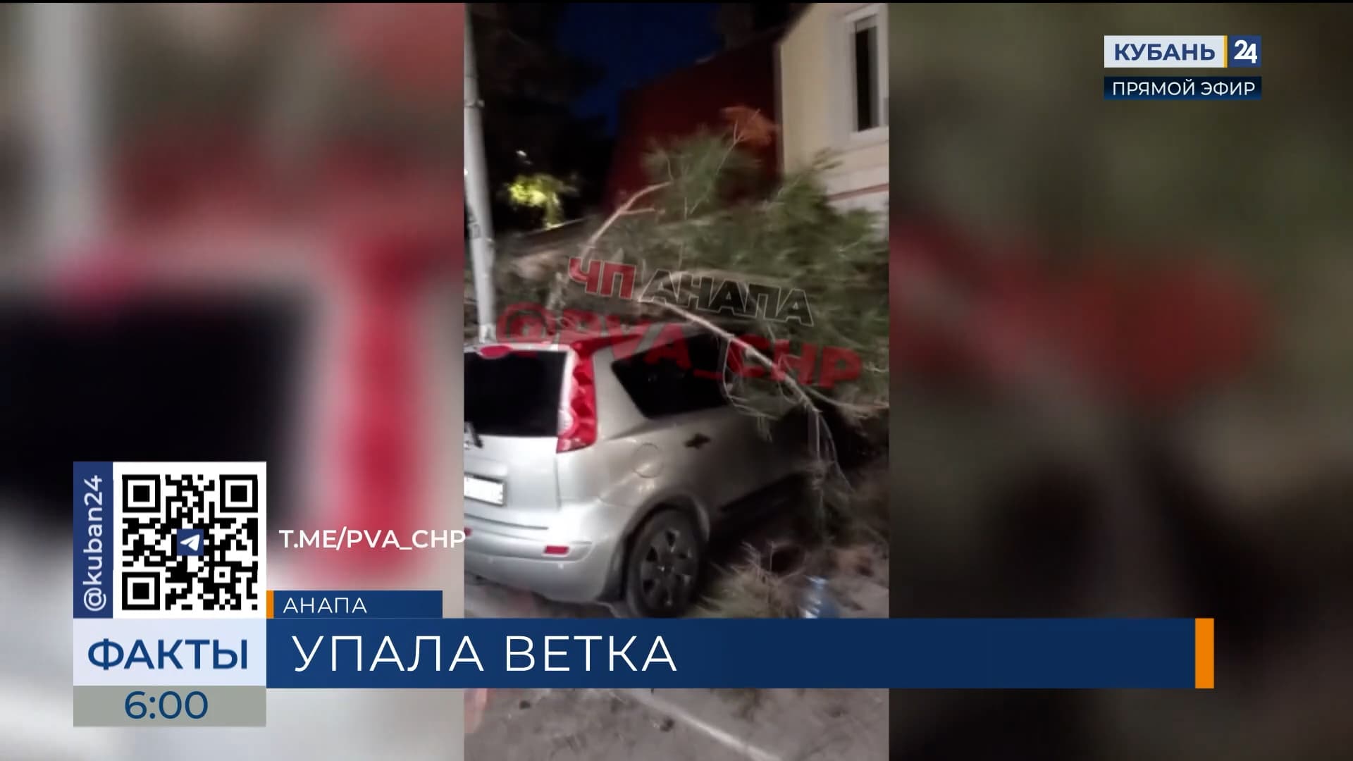 Упавшая ветка повредила автомобили и оставила улицу без света в Анапе