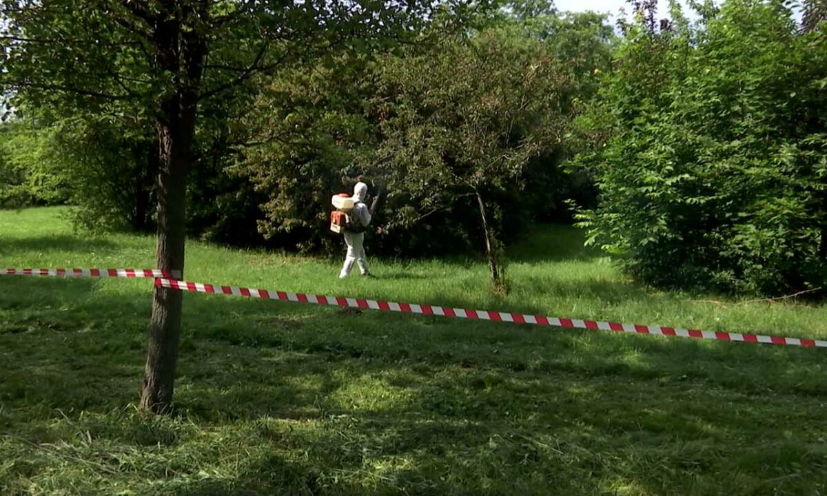 Дезинсекцию от клещей провели в пяти скверах Краснодара