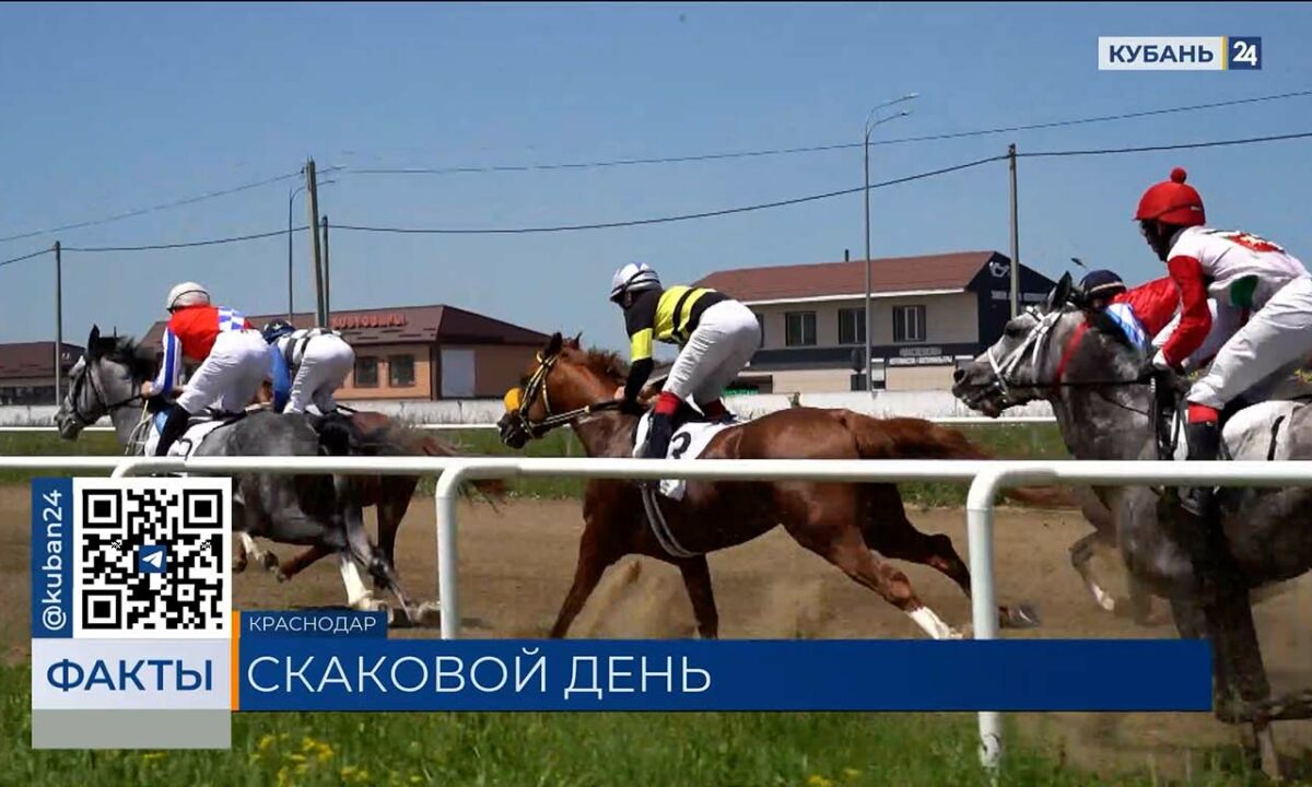 Скачки чистокровных лошадей прошли на Краснодарском ипподроме