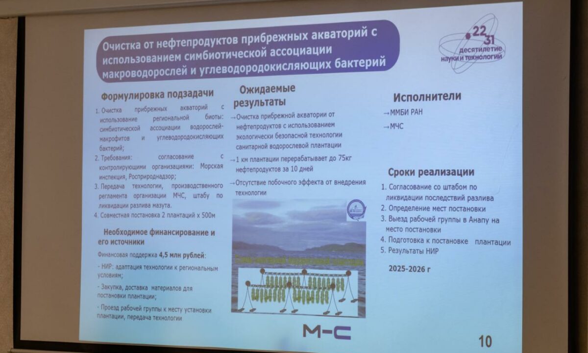 Ученые в Анапе выбрали лучшие технологии для борьбы с разливом мазута