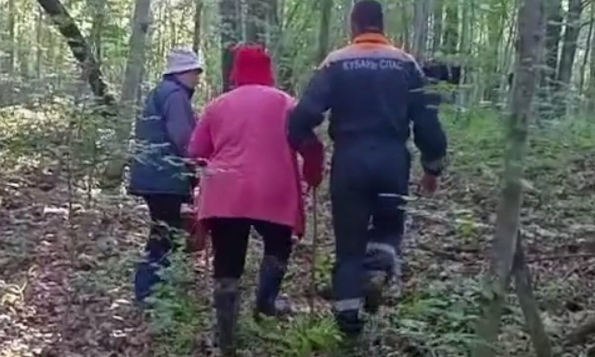 Пятерых заблудившихся грибников вывели из леса за выходные в Апшеронском районе