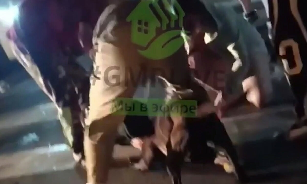Бойцовский пес растерзал собаку и покусал двух женщин в Краснодаре