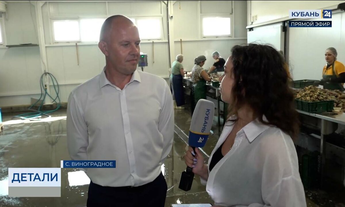 Андрей Гаевой: за 10 лет АПК курорта получил 200 млн рублей господдержки