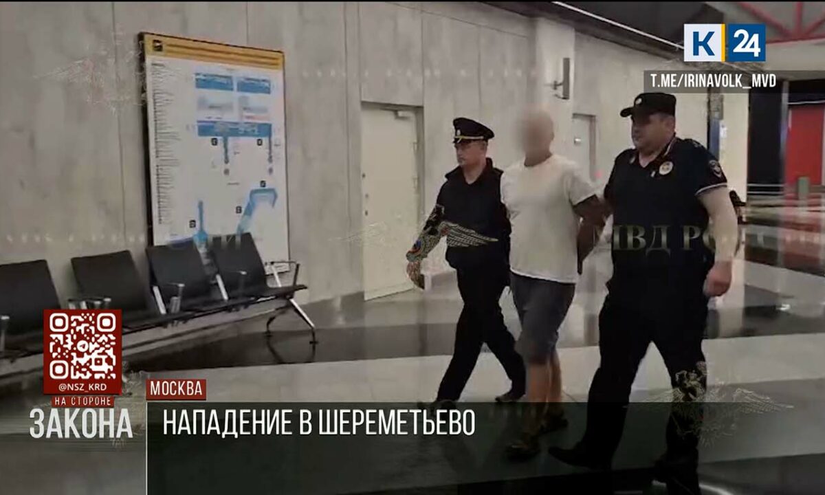 В Шереметьево мужчина под наркотиками швырнул головой об пол двухлетнего ребенка
