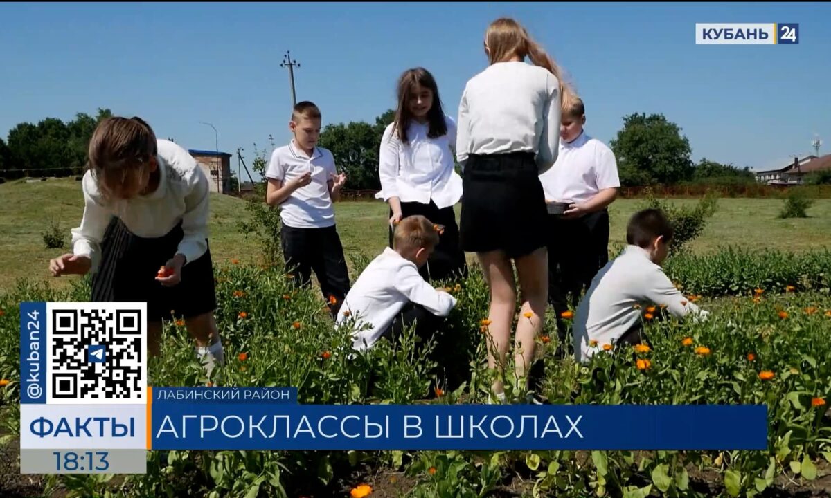 В школах Кубани число агроклассов планируют увеличить в полтора раза
