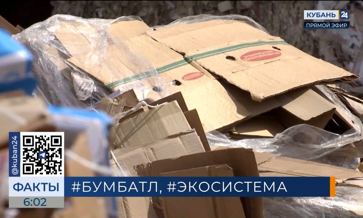На Кубани весной собрали более 4 тонн макулатуры в рамках всероссийской акции