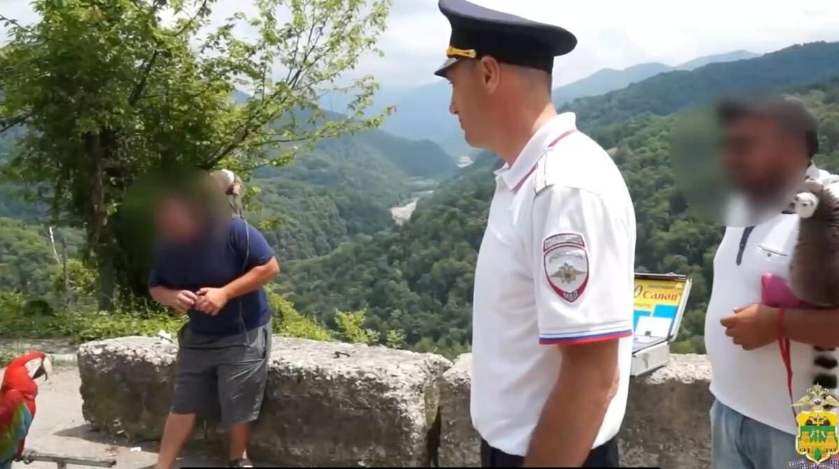 Обезьяну, лемура и попугая забрали полицейские у зоофотографов в Сочи