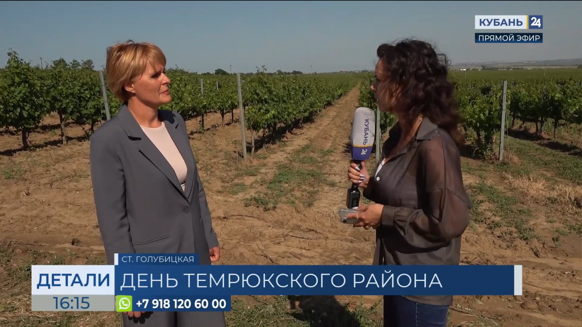 Екатерина Пожарская: за 10 лет экономика Темрюкского района выросла в 2,7 раза