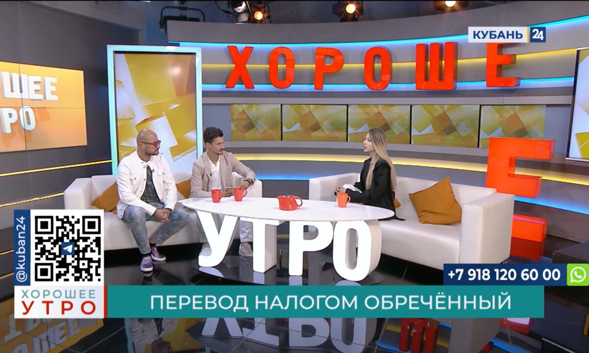 Милена Елец: налоги платят не на переводы, а на доходы