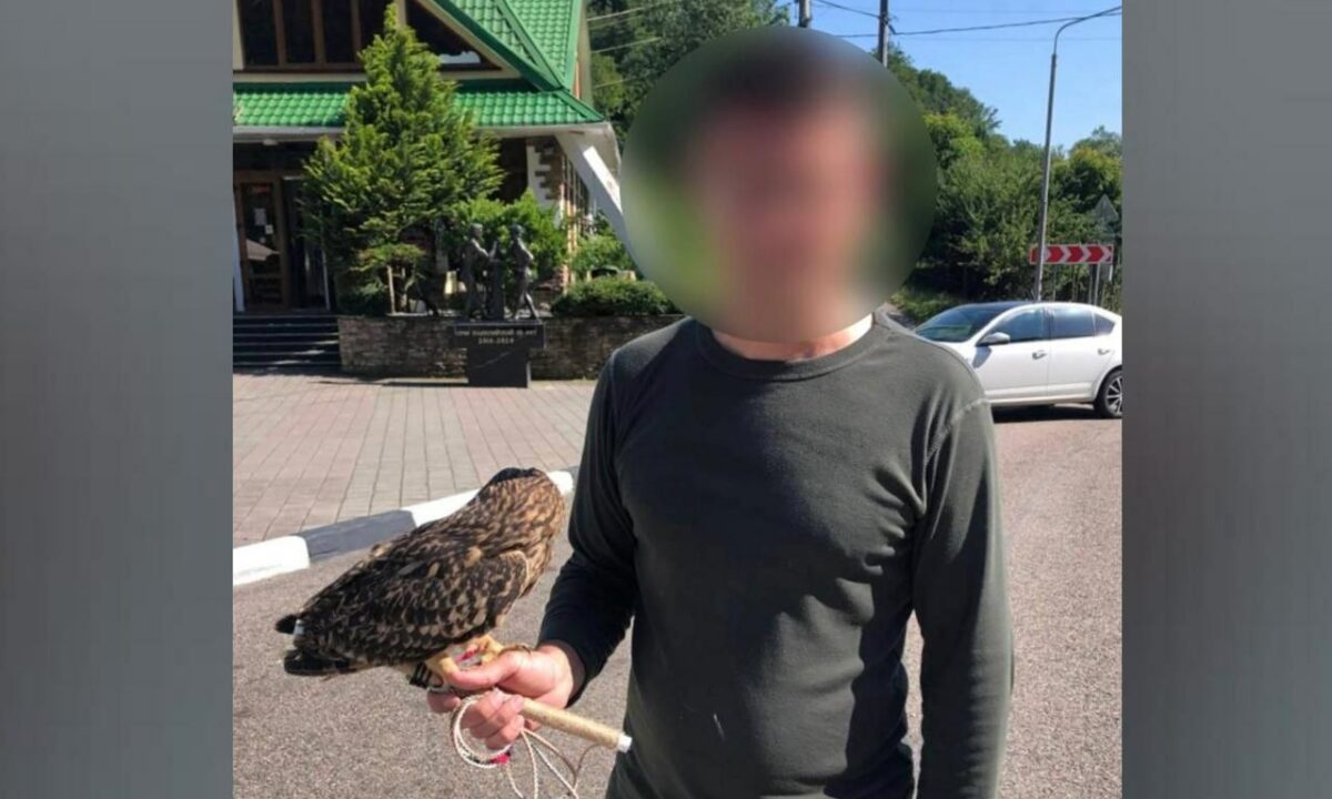 Полицейские забрали сову у приезжего зоофотографа в Сочи