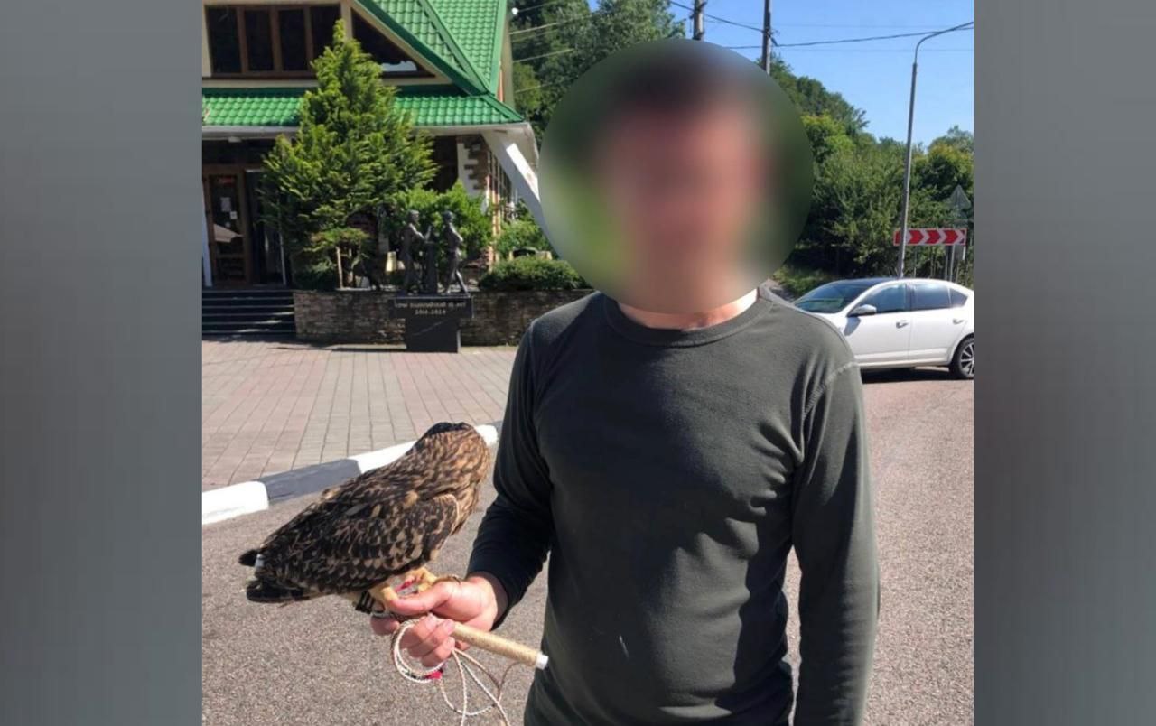 Полицейские забрали сову у приезжего зоофотографа в Сочи