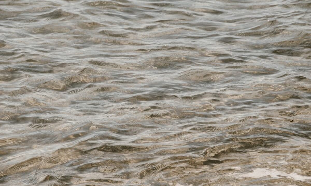 Тело мужчины обнаружили в море на пляже в Ейском районе