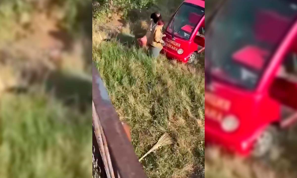 В парке «Тайган» назвали причину нападения льва на директора Зубкова