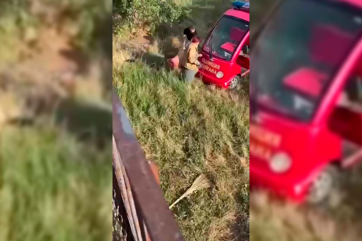 Напавшего на директора парка «Тайган» в Крыму льва усыплять не собираются