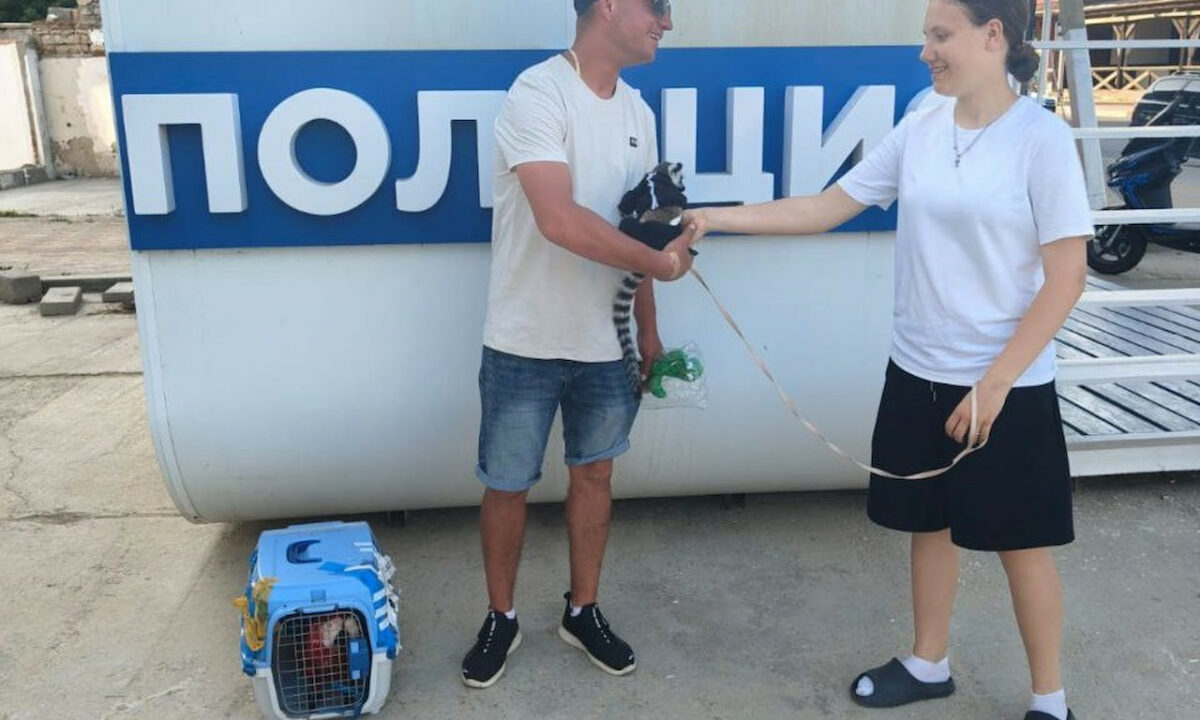 Полиция оштрафовала нелегального фотографа с попугаем и лемуром на пляже в Анапе