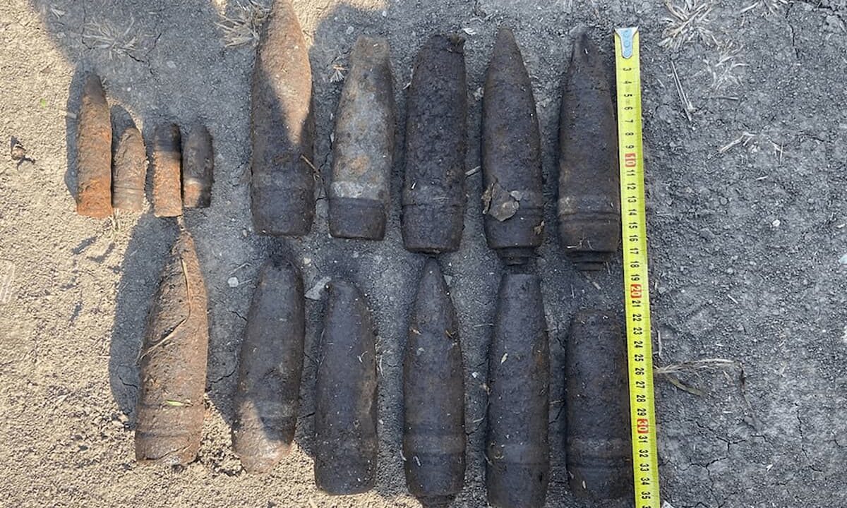 В лесу Крымского района нашли более 50 боеприпасов времен войны