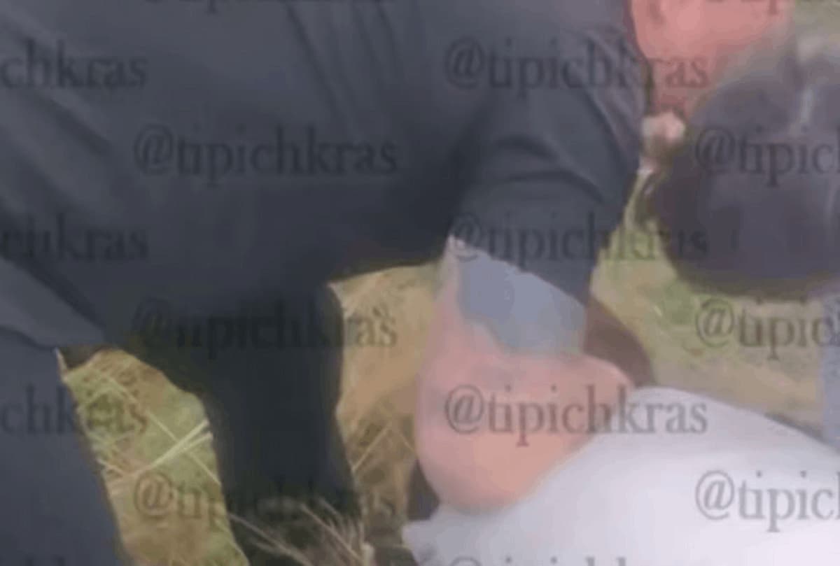 Полиция Краснодара проверит сообщения о потасовке из-за ребенка