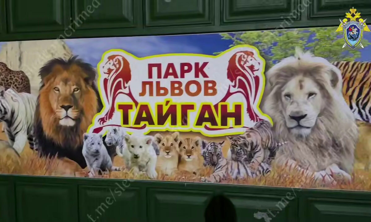 На директора и сотрудницу парка «Тайган» в Крыму напали разные львы